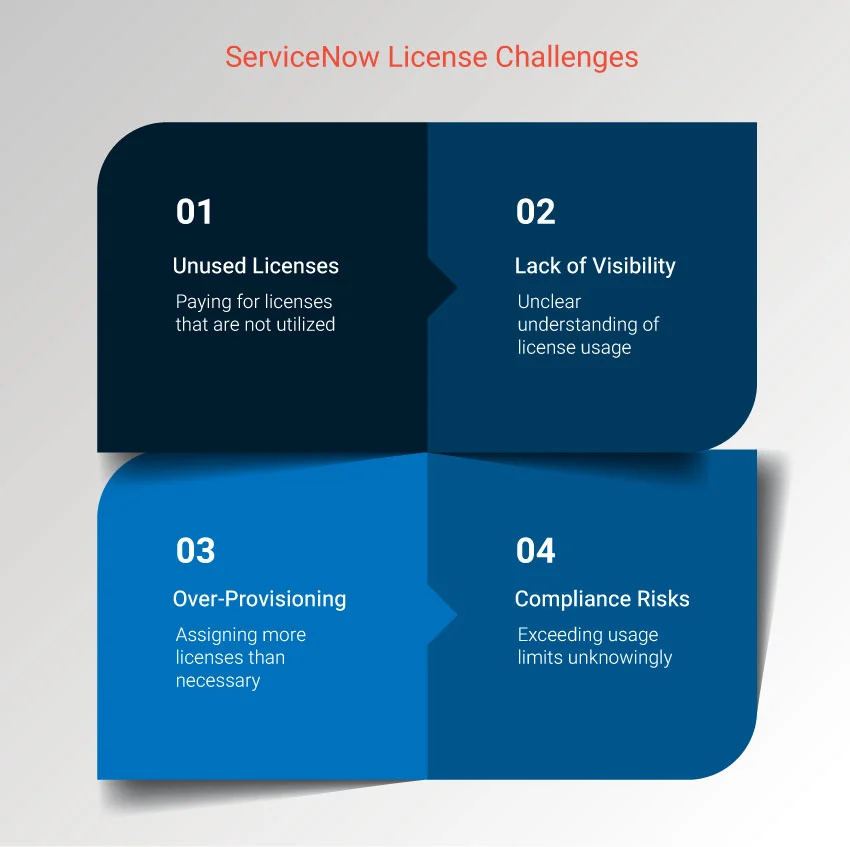 Common Challenges in ServiceNow License Utilization