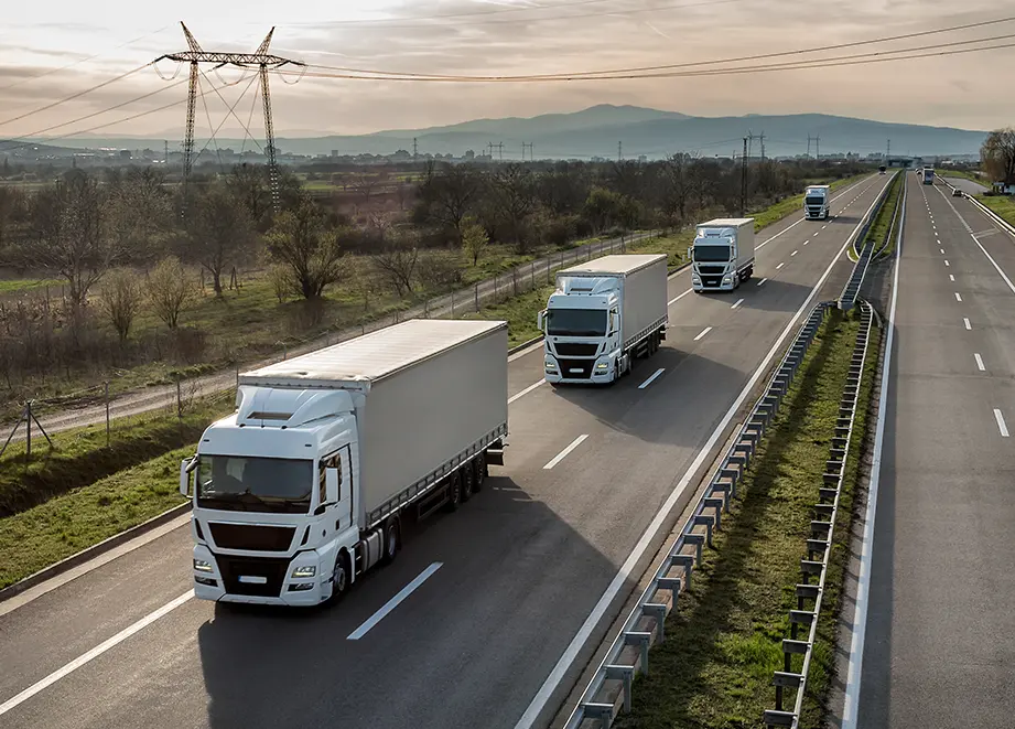 Boosting Productivity by 24%: Transportation One’s Synoptek Success Story