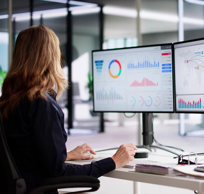 Model Monitoring & Optimization