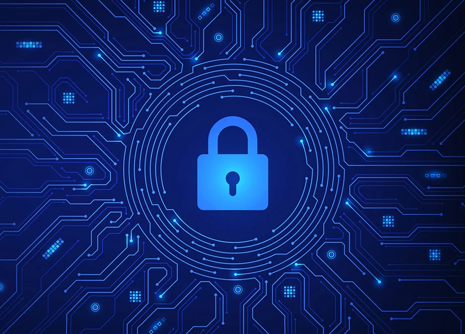 Remote Workforce Security: A Zero Trust Framework